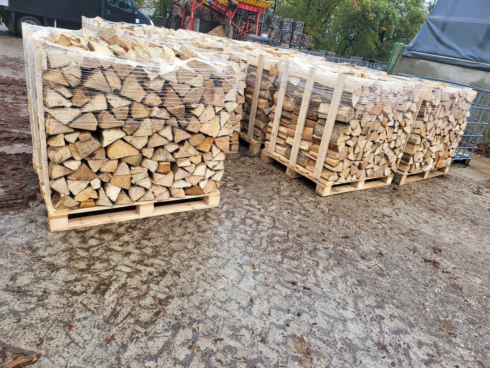 Bûches de bois de chauffage de 25 à 26 cm, 1 palette RM